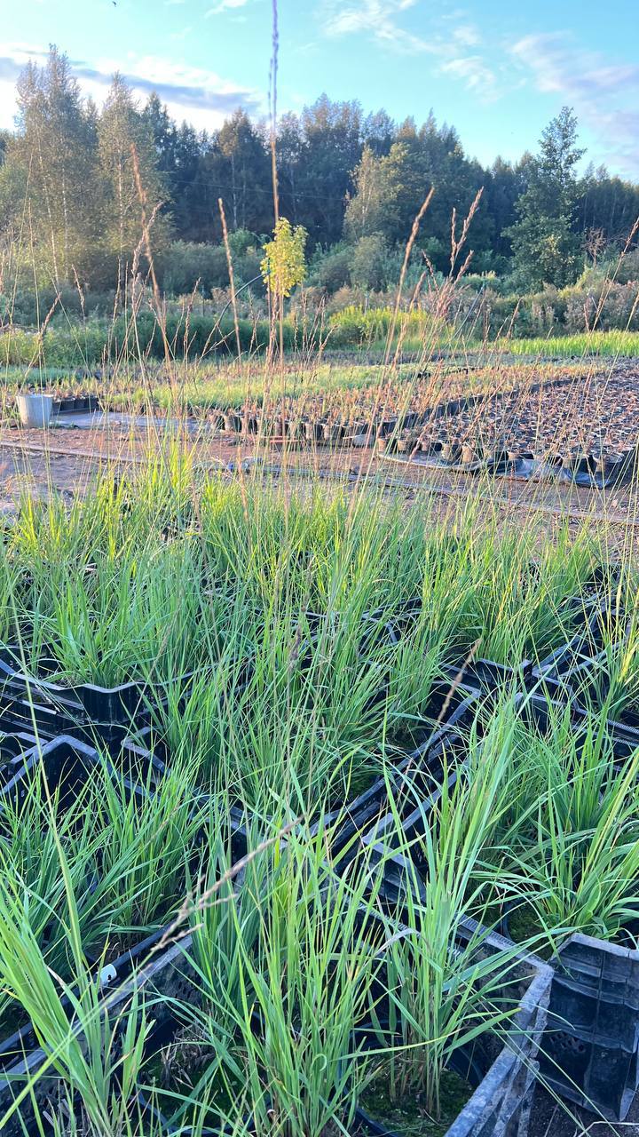 photo 2025 08 20 18 48 59